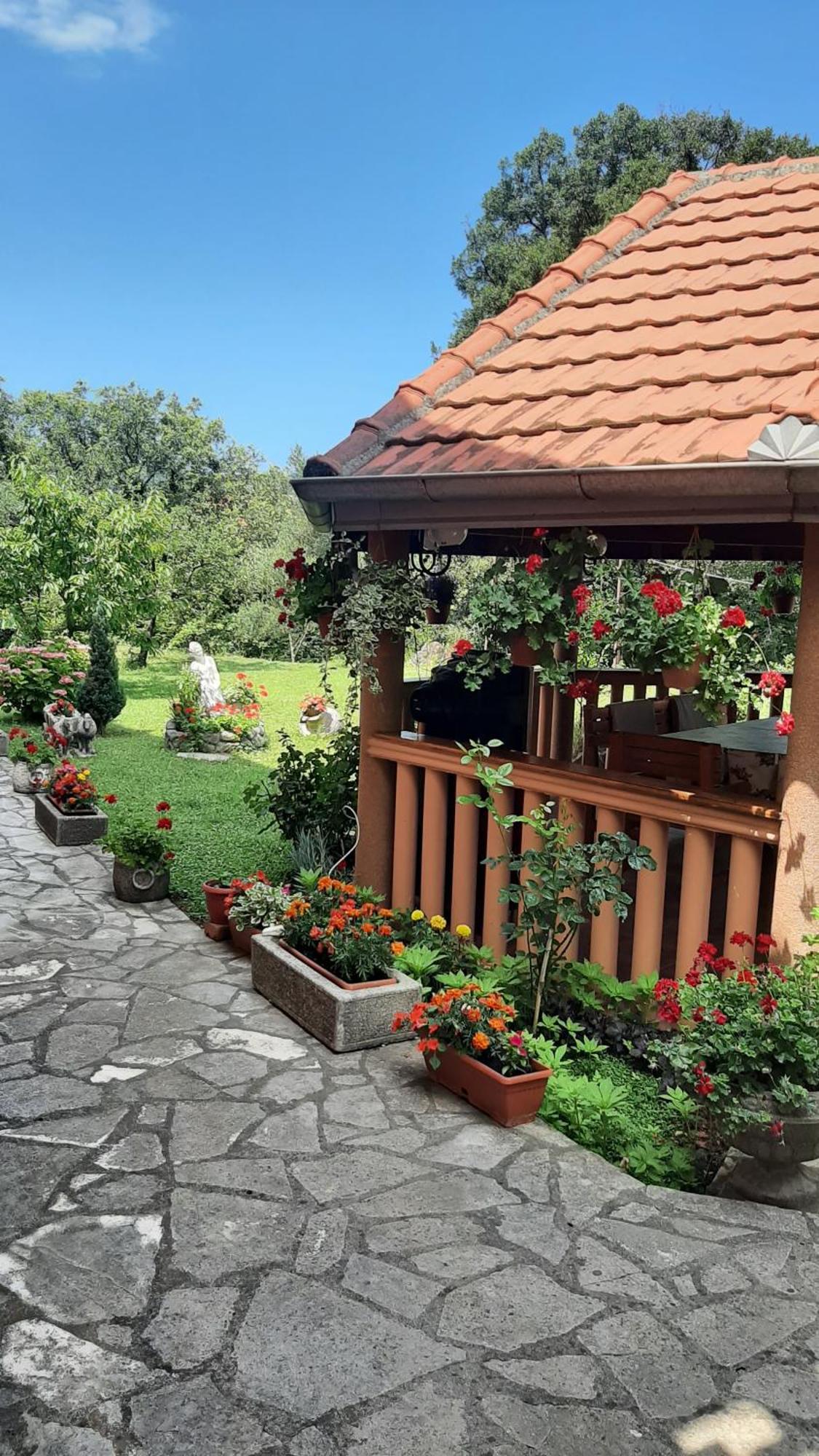 Apartmani "Dukic" Pelinovo Zimmer foto