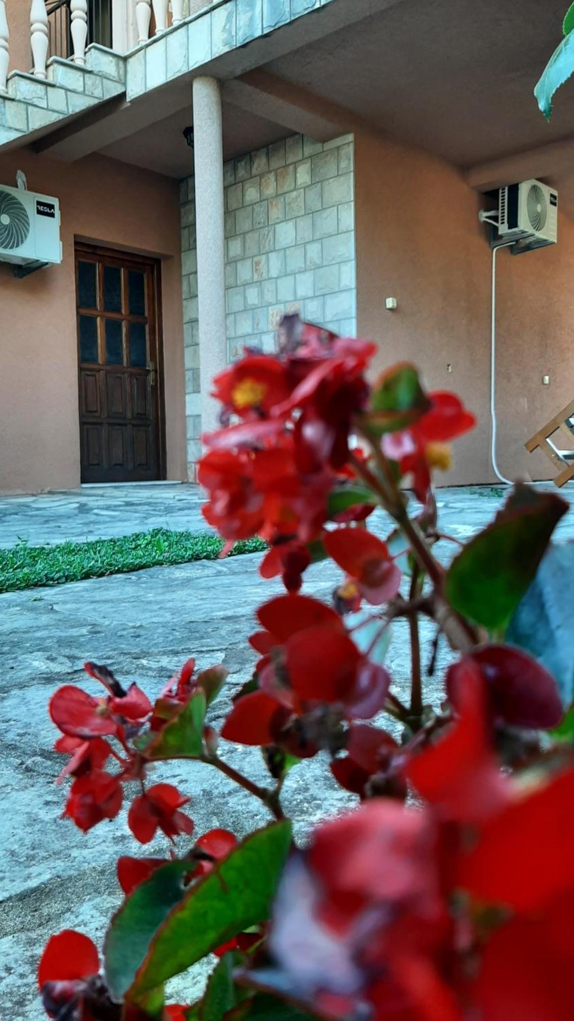 Apartmani "Dukic" Pelinovo Zimmer foto