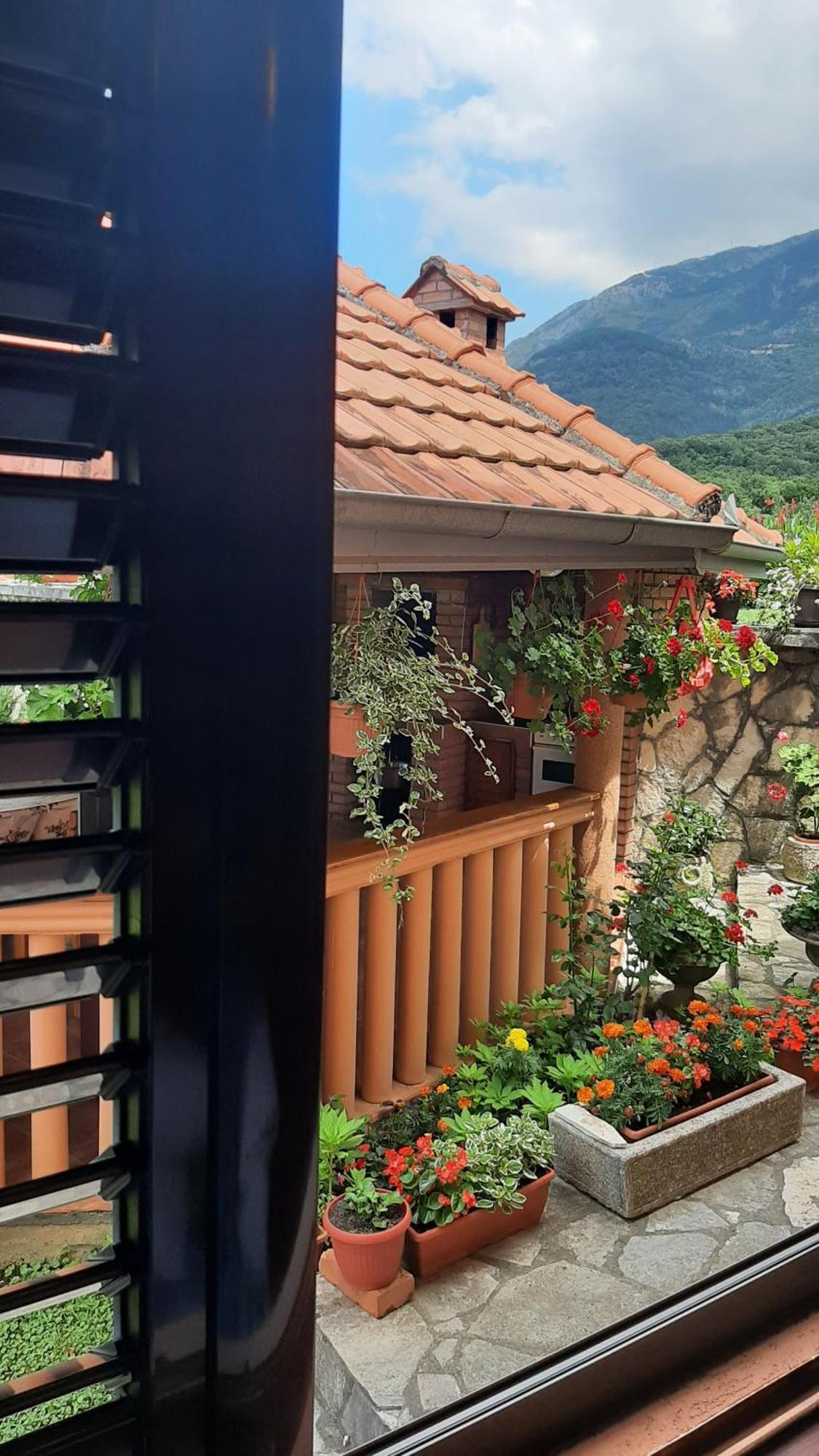 Apartmani "Dukic" Pelinovo Zimmer foto