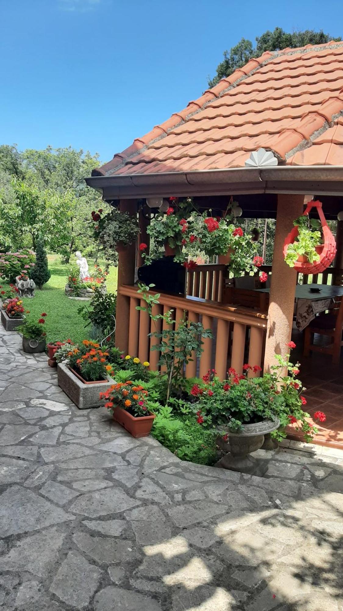 Apartmani "Dukic" Pelinovo Zimmer foto
