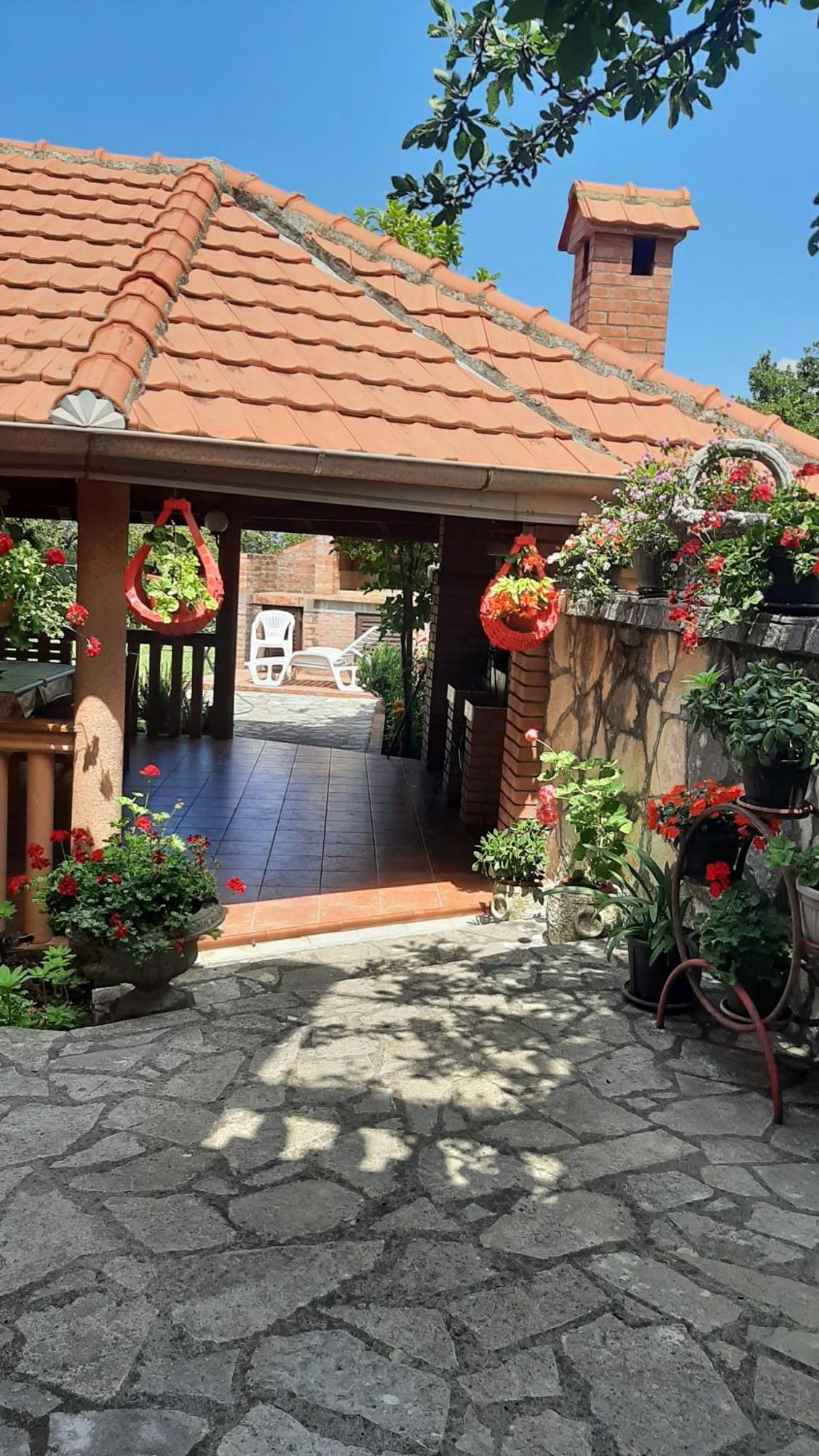 Apartmani "Dukic" Pelinovo Zimmer foto