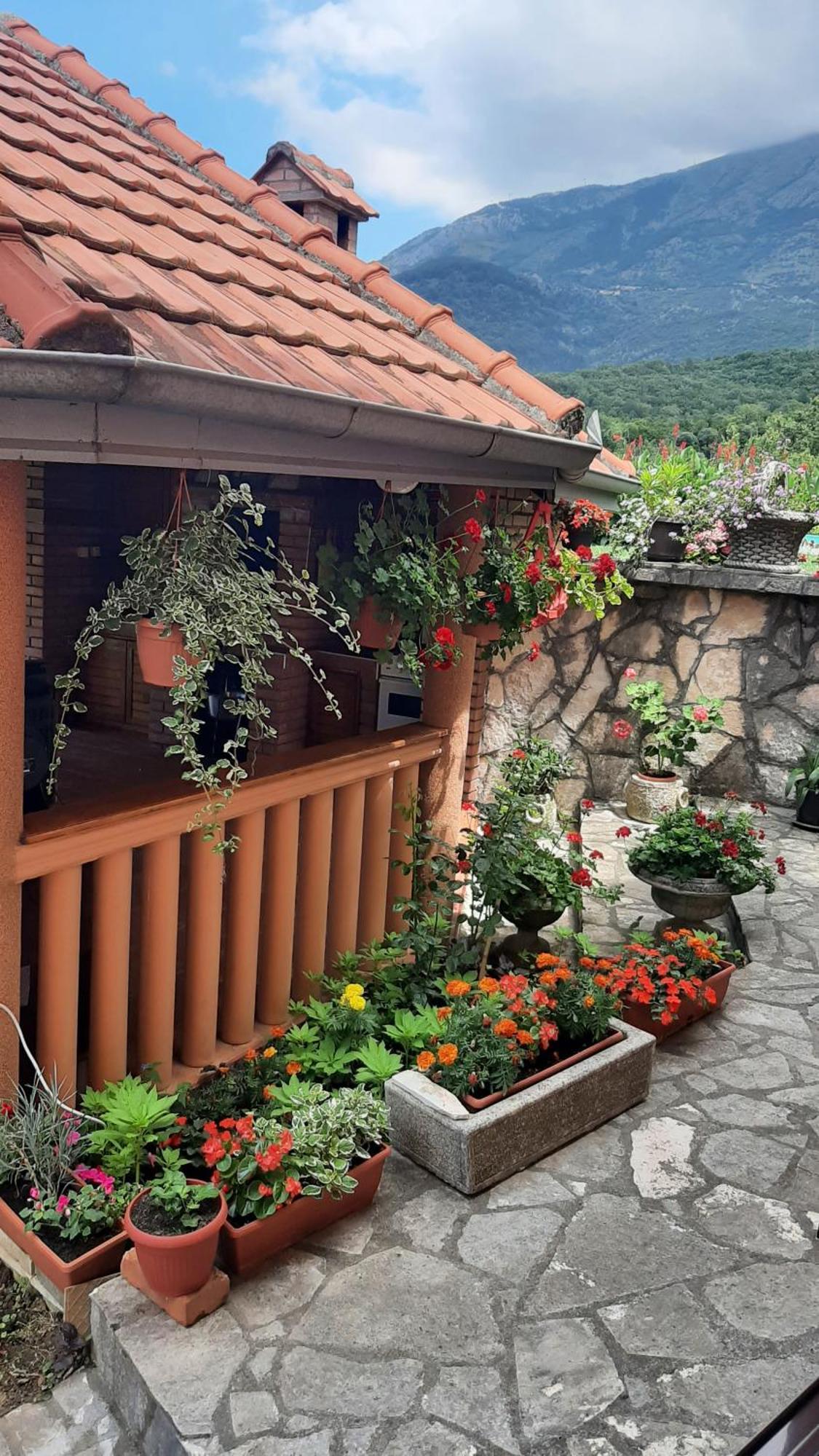 Apartmani "Dukic" Pelinovo Zimmer foto