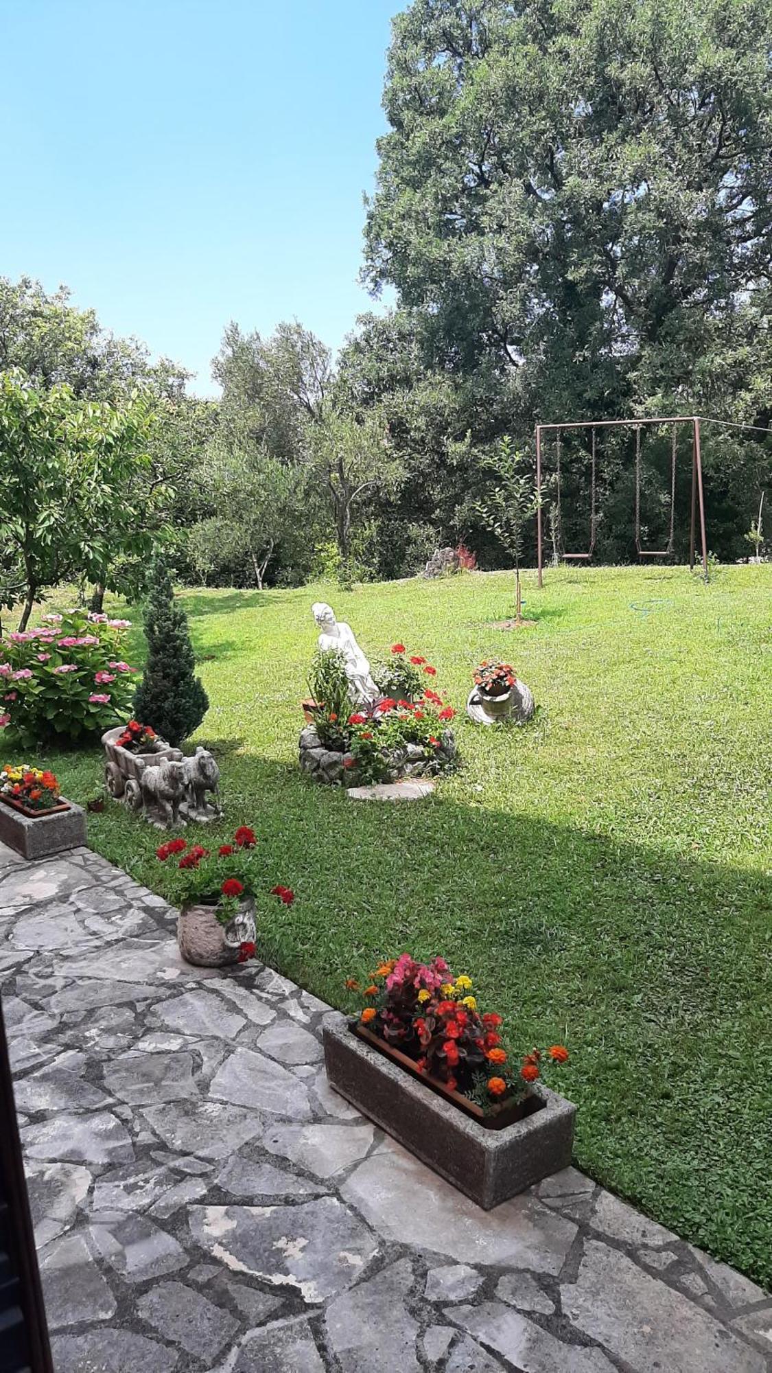 Apartmani "Dukic" Pelinovo Zimmer foto