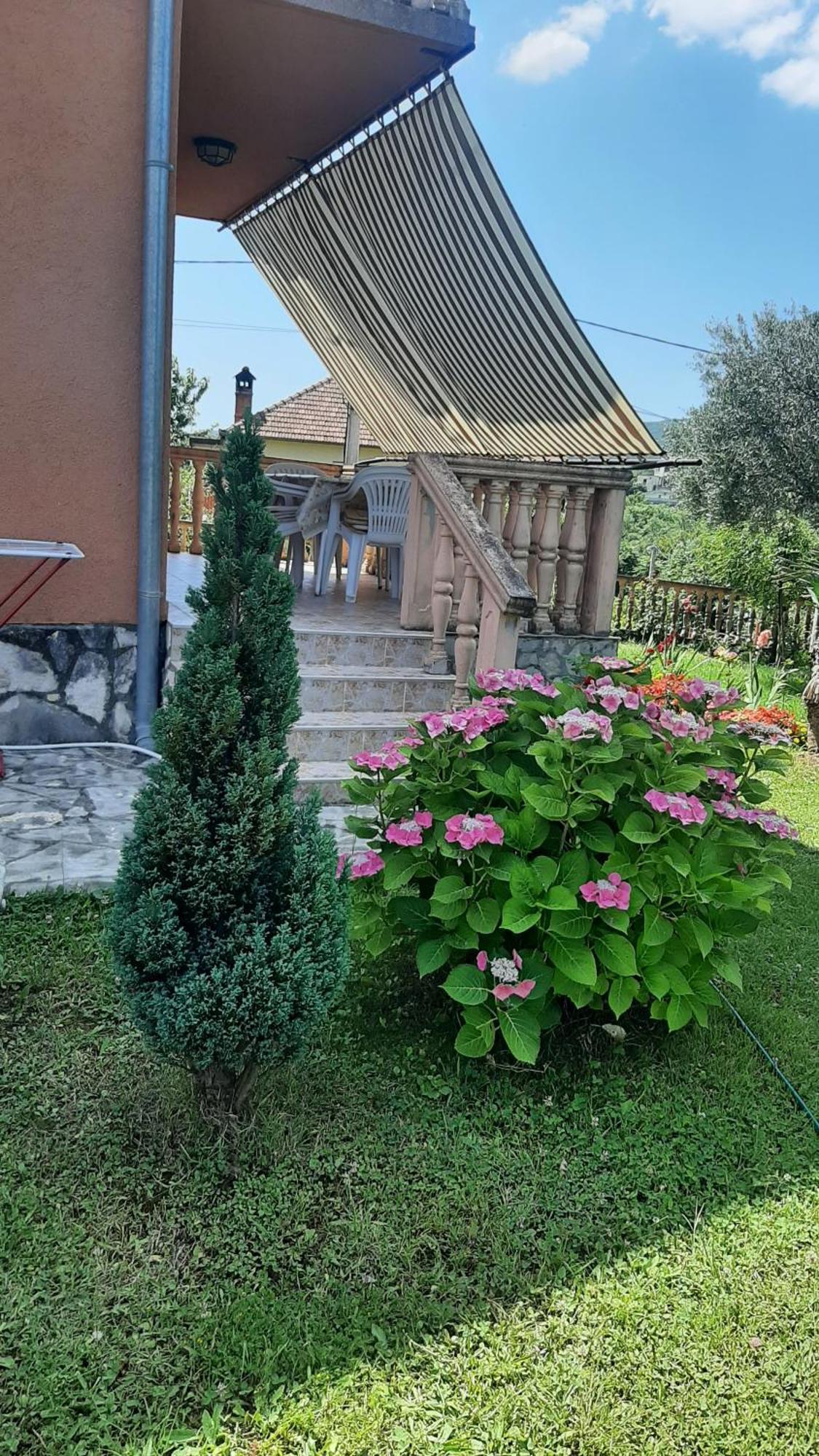 Apartmani "Dukic" Pelinovo Zimmer foto