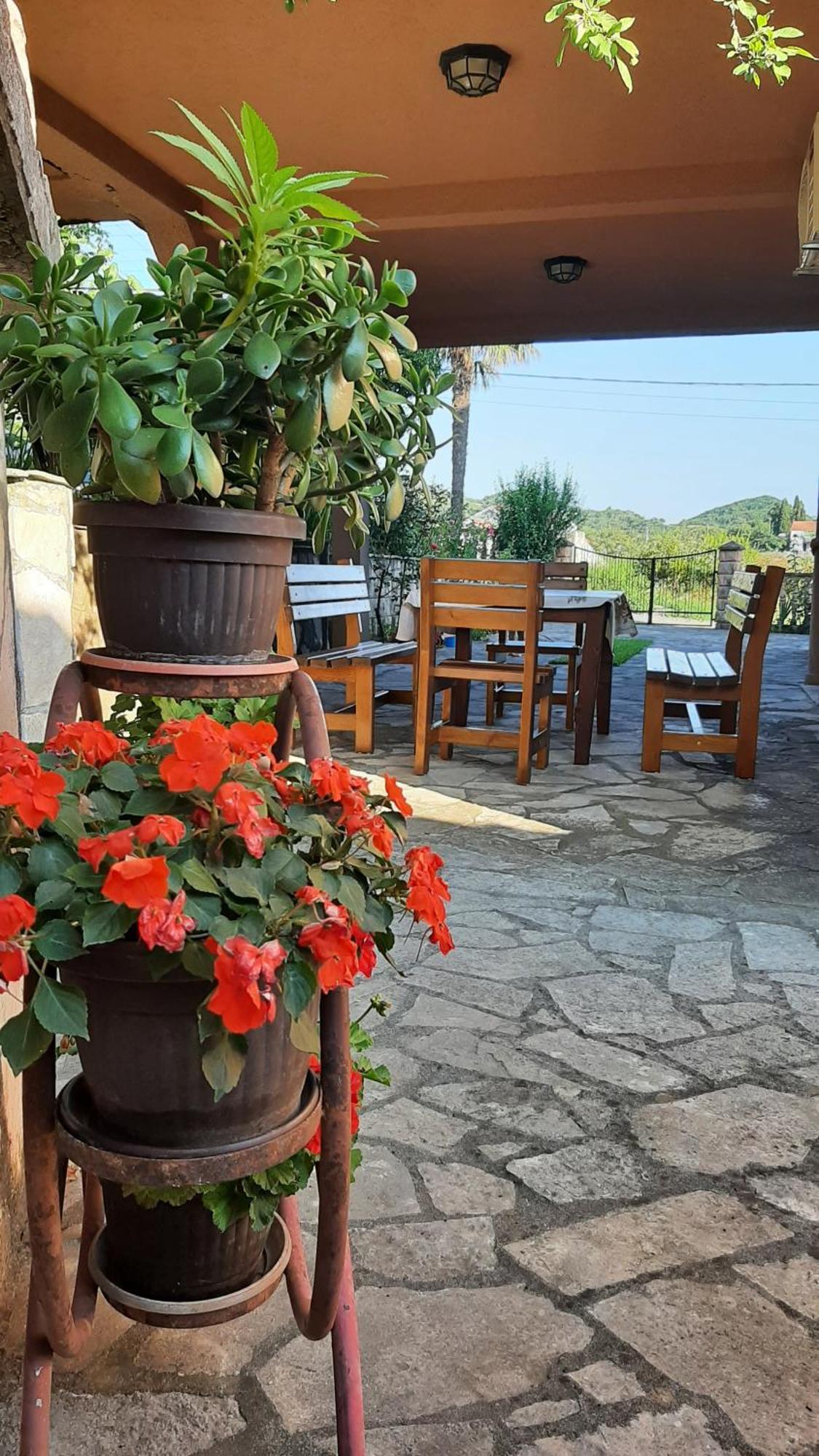 Apartmani "Dukic" Pelinovo Zimmer foto
